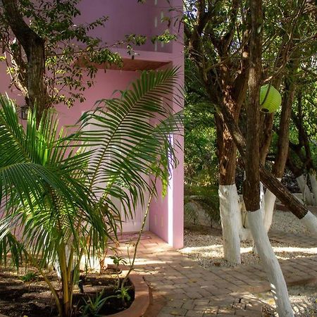 トゥルム Casa Rosseヴィラ エクステリア 写真